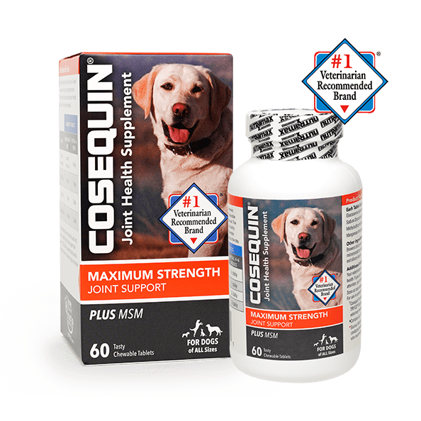 Joint Supplements Costco Cosequin Ds For Dogs Cosequin Joint