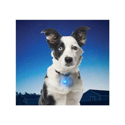 NiteIze SpotLit Collar Light