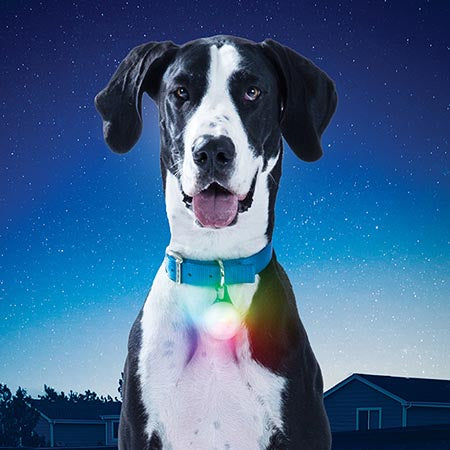 NiteIze SpotLit Disco Rechargeable Collar Light