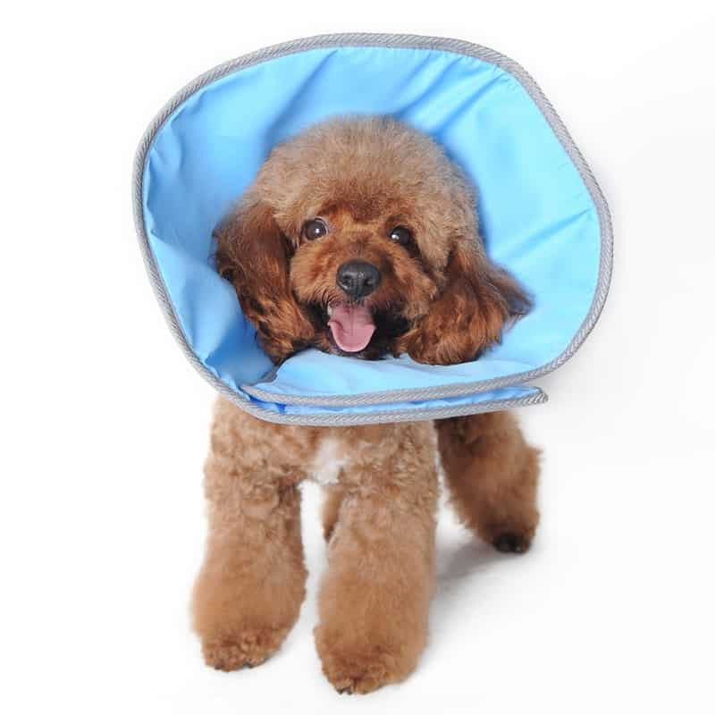 DOGO Get Better Soft E-Collar