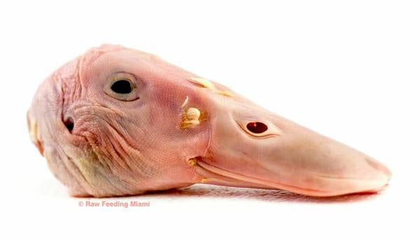 Bulk Frozen Duck Heads Bag