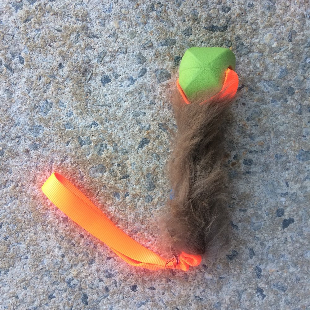 Chuck-It Erratic Ball Hairy Buffalo Bungee Tug