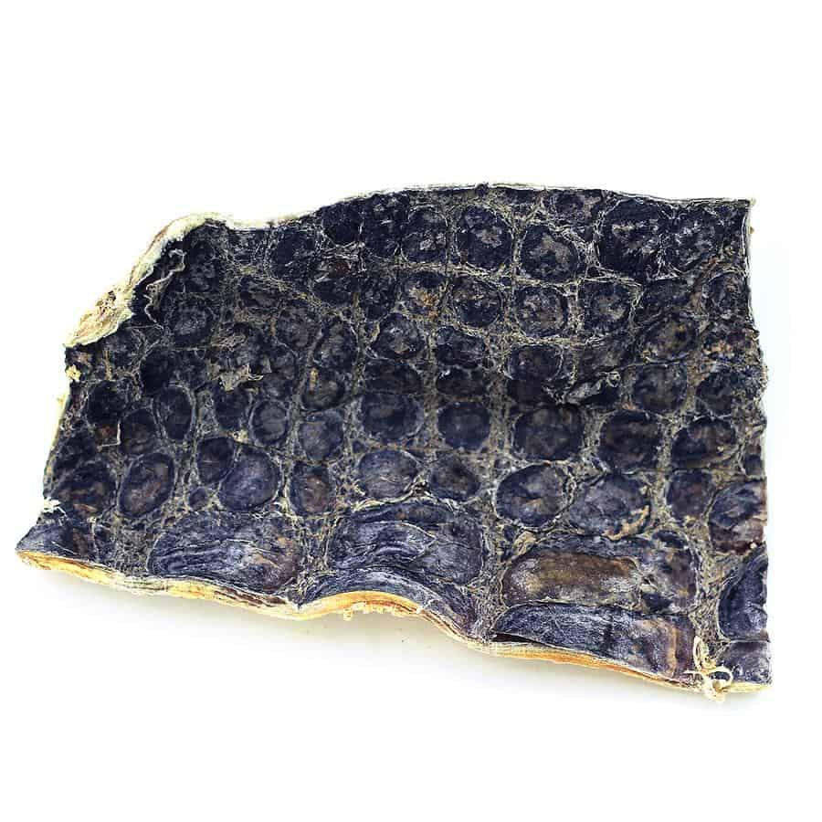 The Natural Dog Company Gator Chews