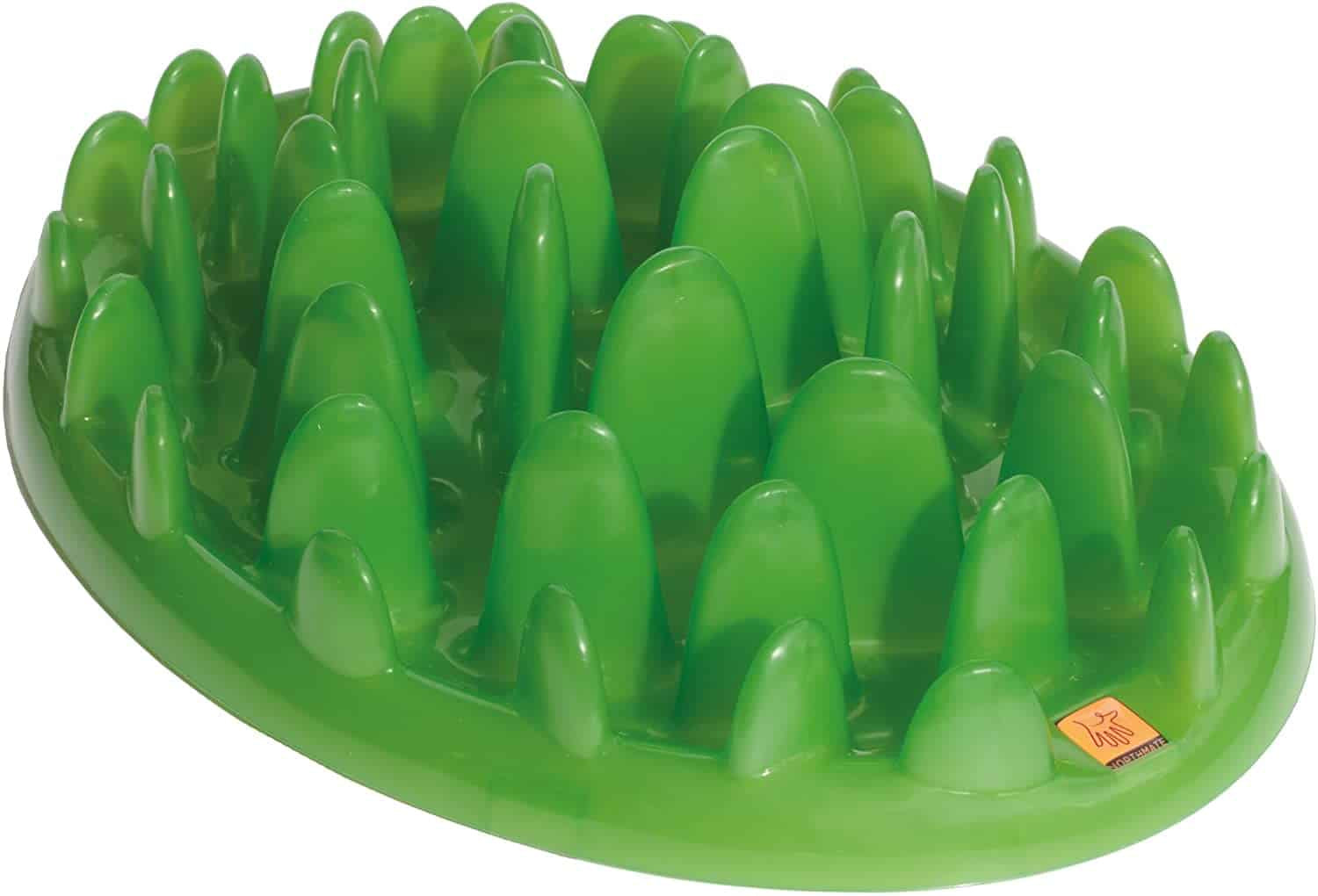 Green Interactive Feeder