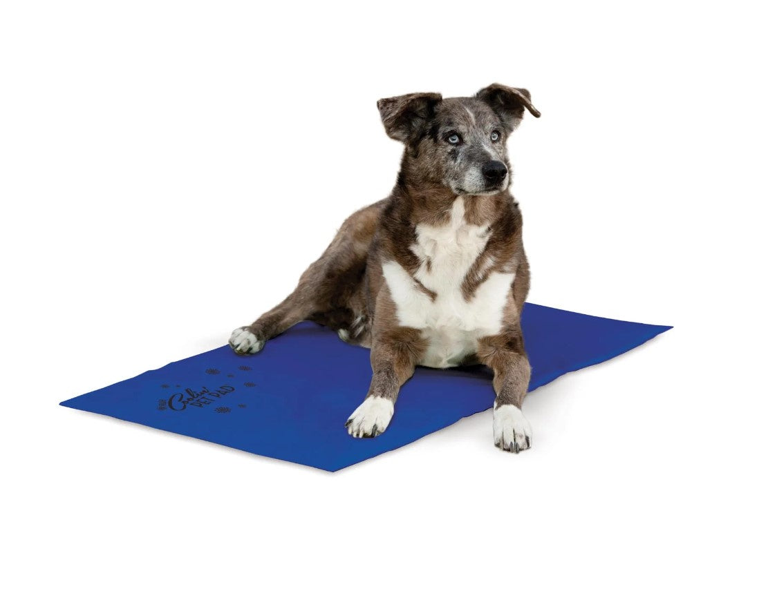 K&H Coolin' Pet Pad