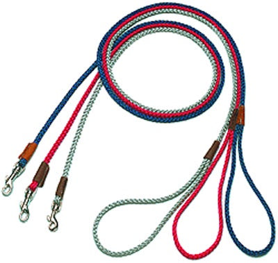Mendota Pet British Show Snap Leash