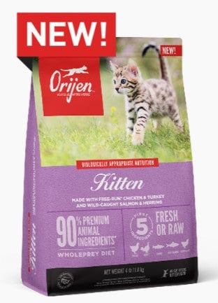 ORIJEN Kitten Grain-Free Dry Cat Food