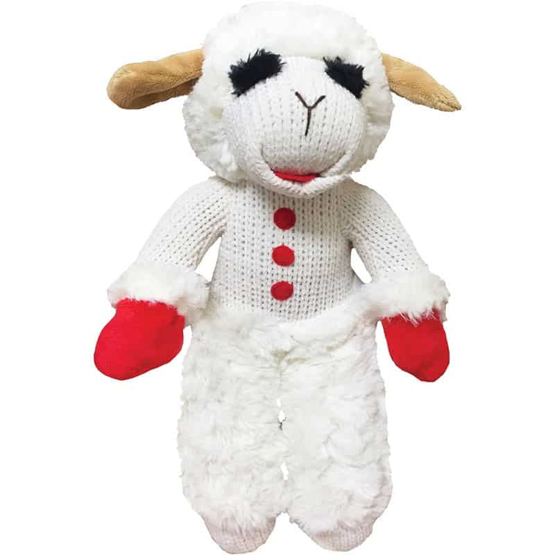 Lamb Chop