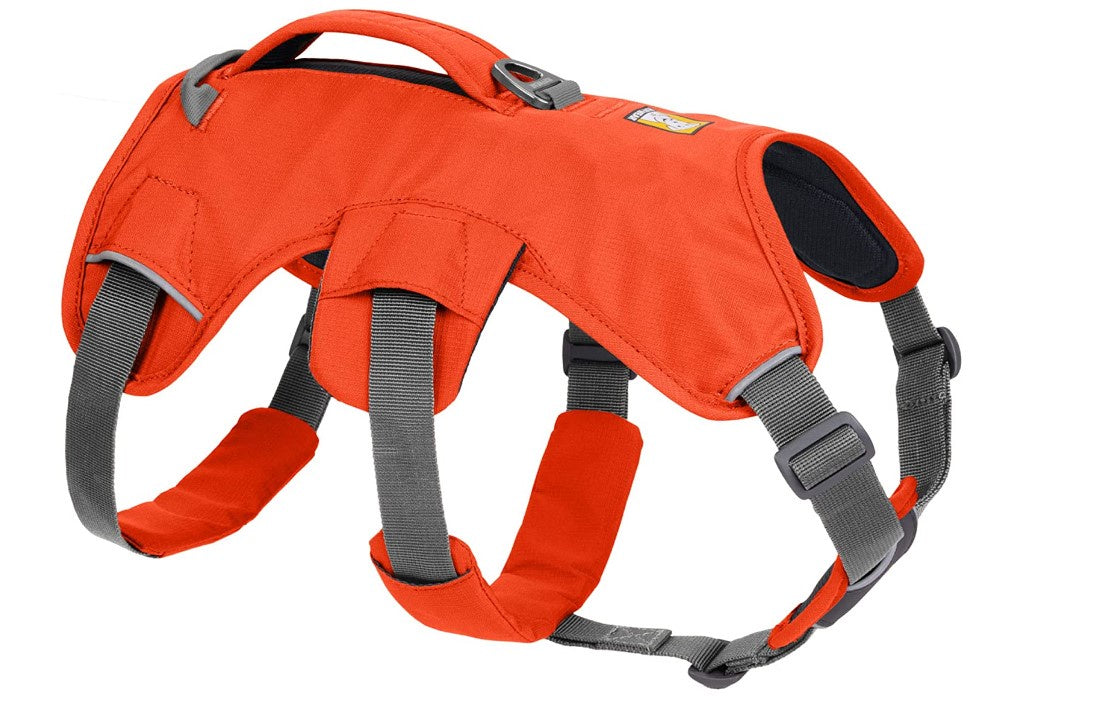 RuffWear Web Master Harness