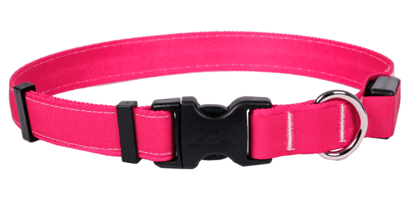 Yellow Dog Design Orion LED Dog Collar