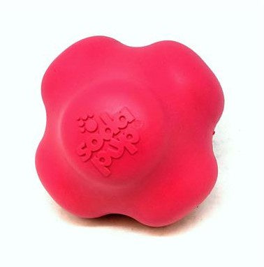 SodaPup Crazy Bounce Retrieving & Chewing Toy