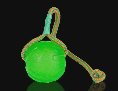 StarMark Swing n' Fling ChewBall