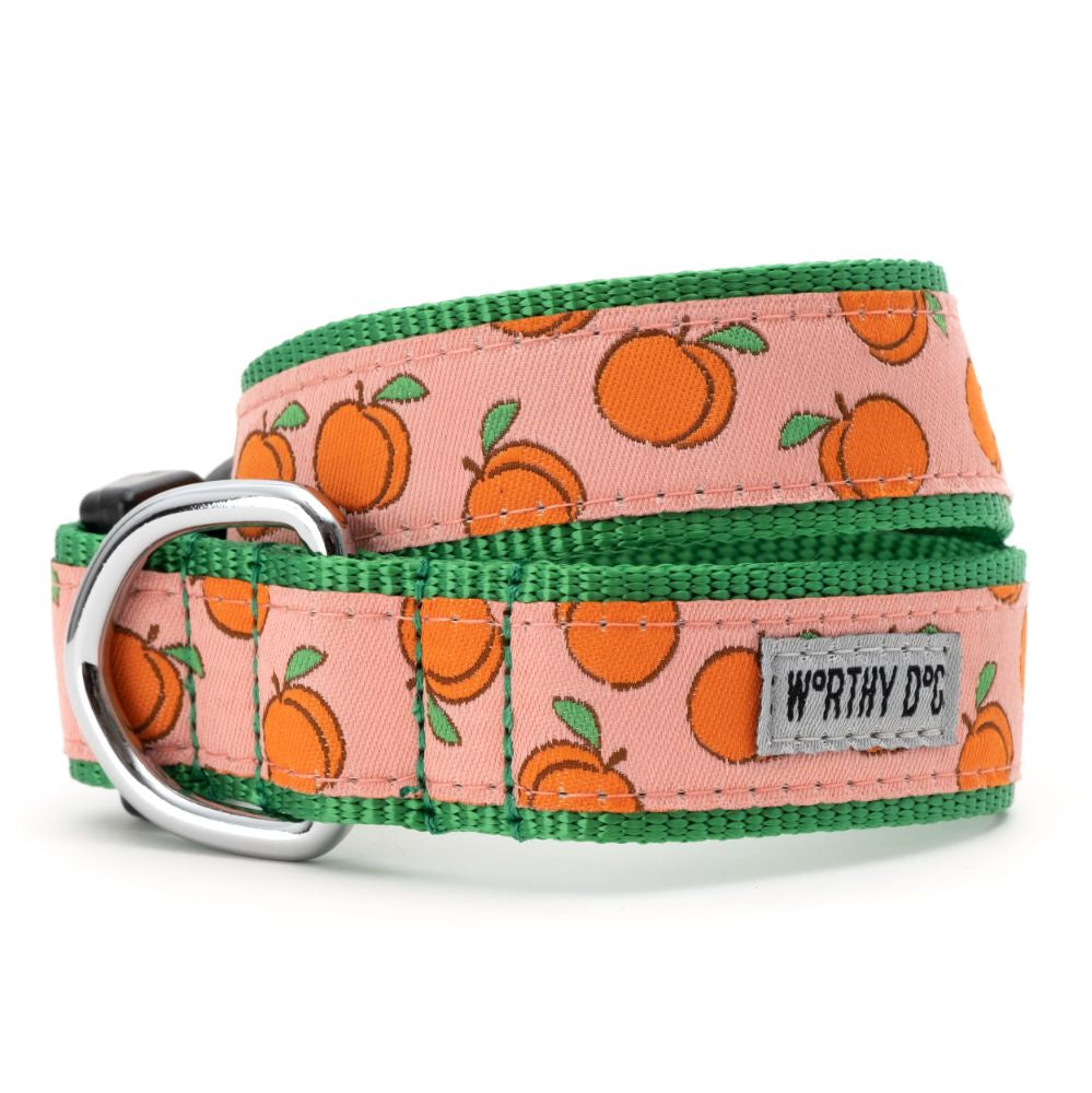 The Worthy Dog Collar - Peachy Keen