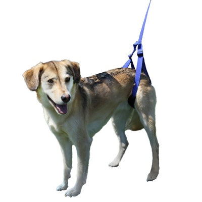 Walkin' Up-n-Go Leash