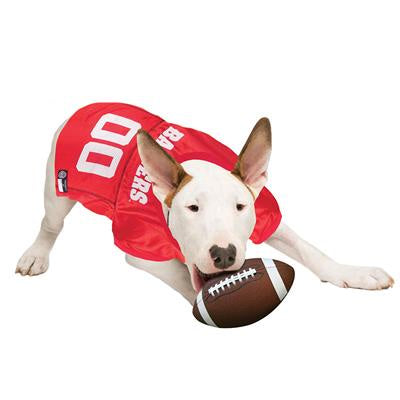Wisconsin Badgers Mesh Dog Jersey
