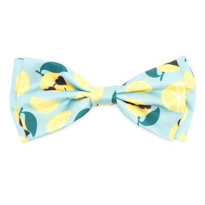 The Worthy Dog Bow Tie - Lemons