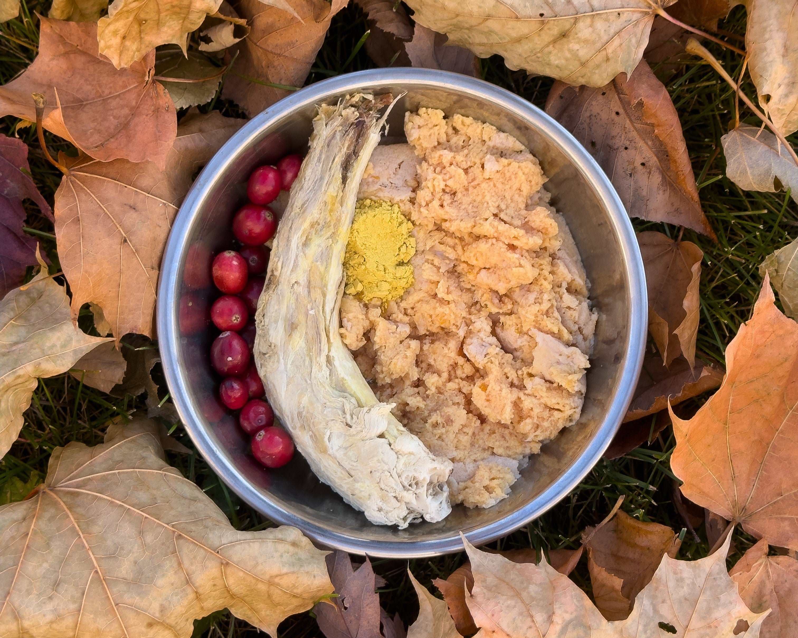 raw feeding bowl with tucker's raw food and a freeze dried turkey neck