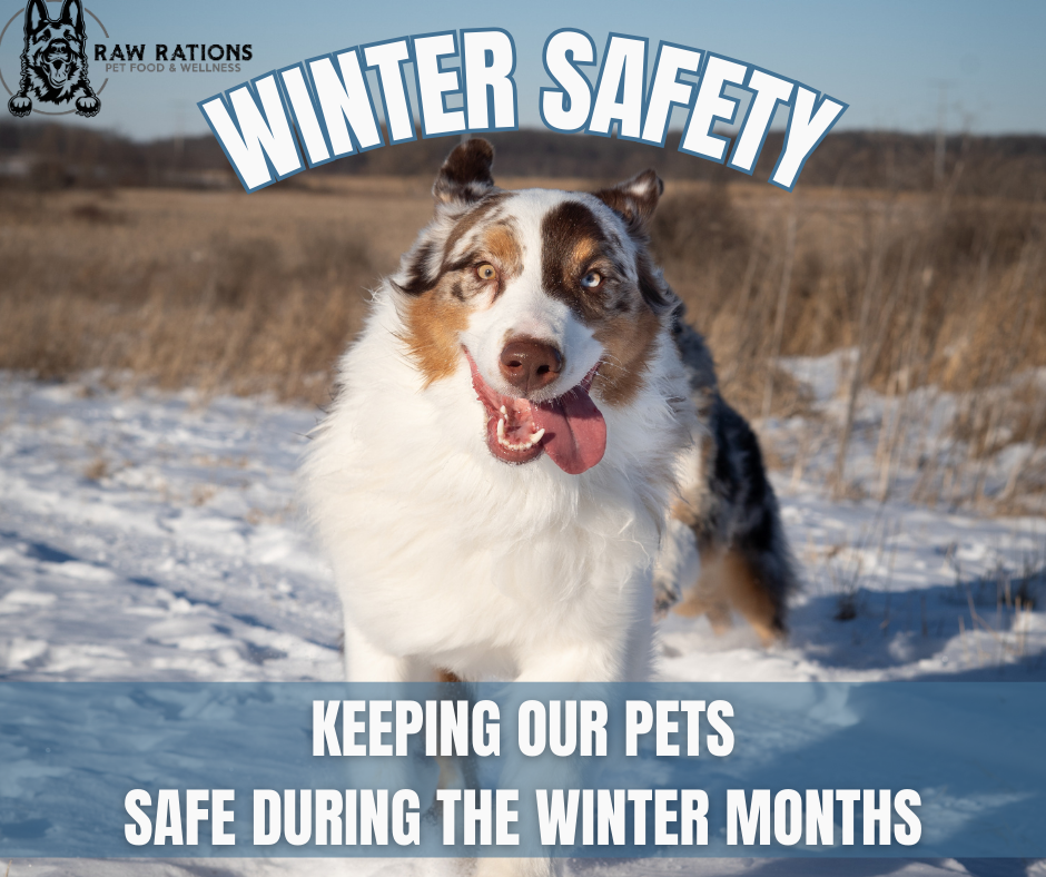 Winter Safety