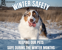 Winter Safety