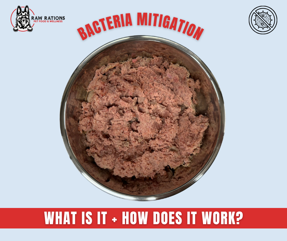 Bacteria in Raw Pet Food: What Brands Are Doing To Keep Your Pets & Family Safe
