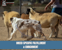 Fulfillment + Enrichment