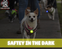 Saftey in the Dark