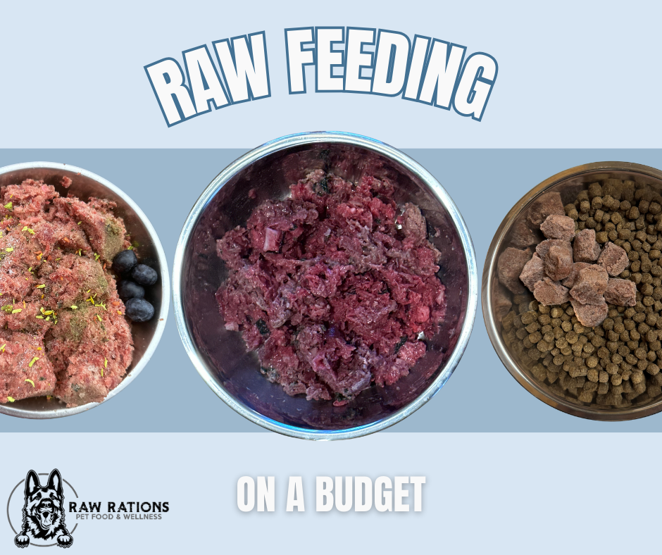 Raw Feeding on a Budget
