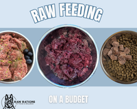 Raw Feeding on a Budget