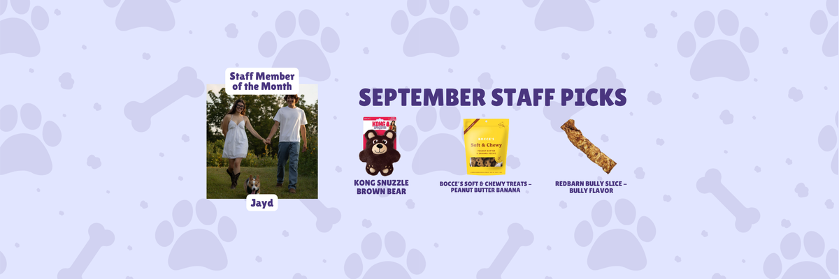 September Employee Picks