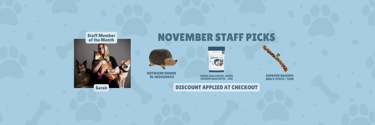 November Staff Picks