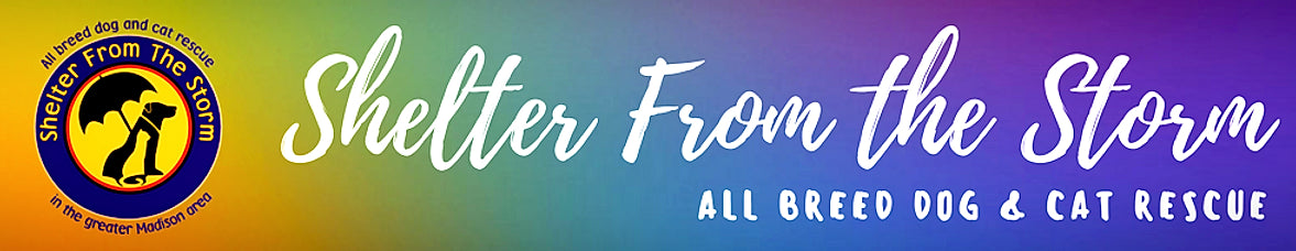 Shelter From The Storm Rescue