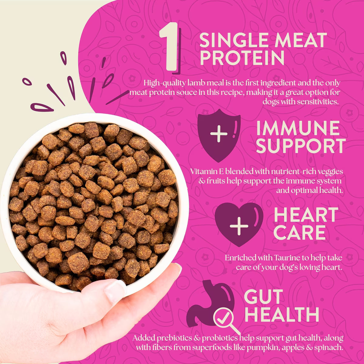 Earthborn Holistic Dog Grain Free Meadow Feast