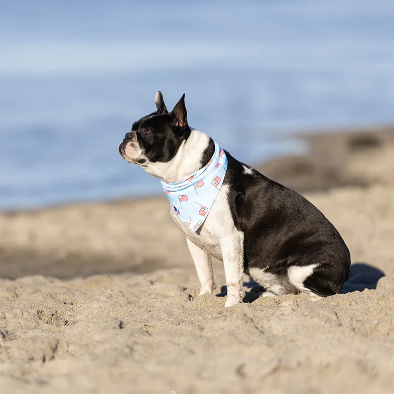 Dog Bandana Co - USA