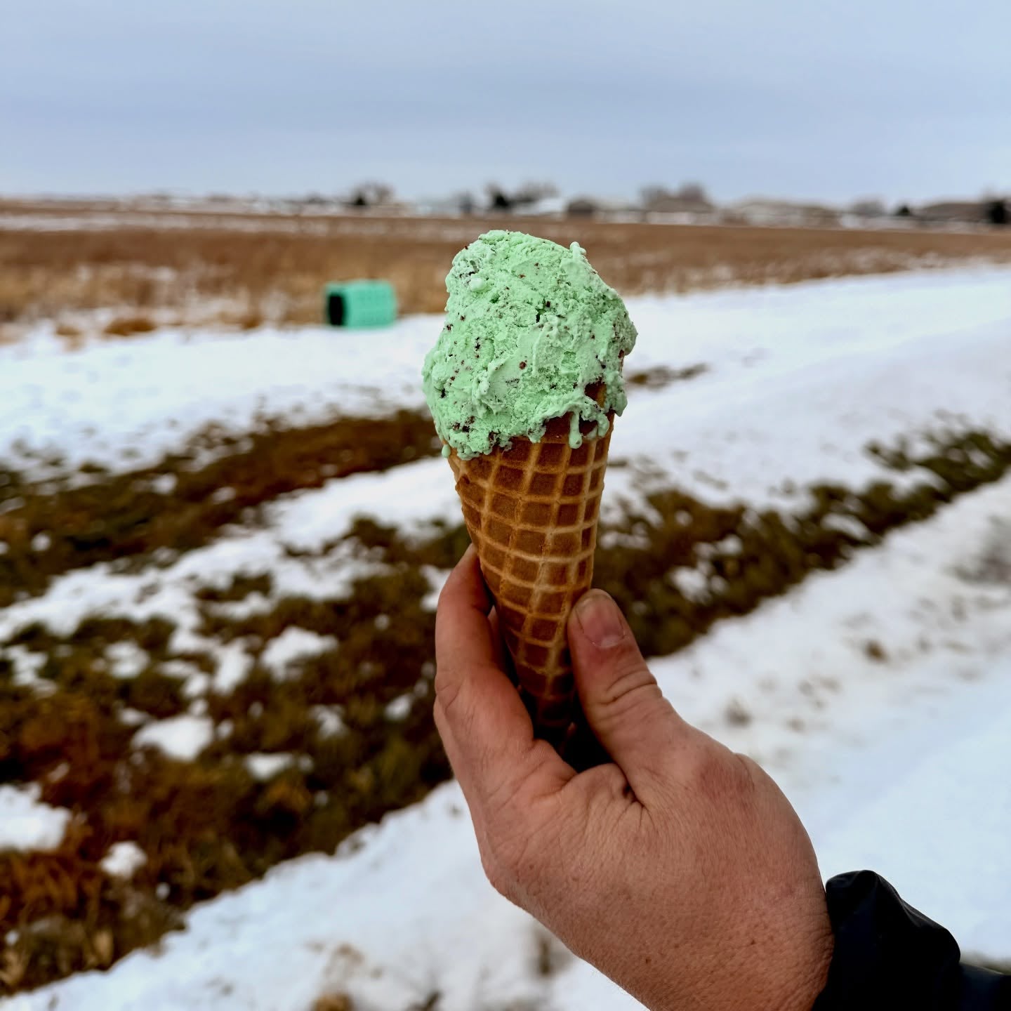 PRE-ORDER Ruff Land Performance Kennel - Mint