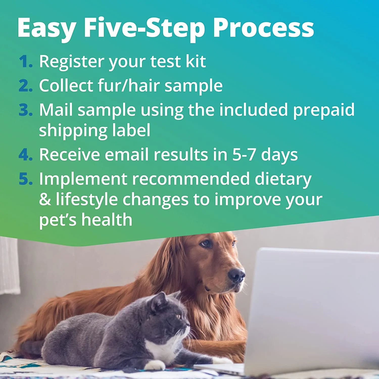 5Strands Raw Pet Food Intolerance Test