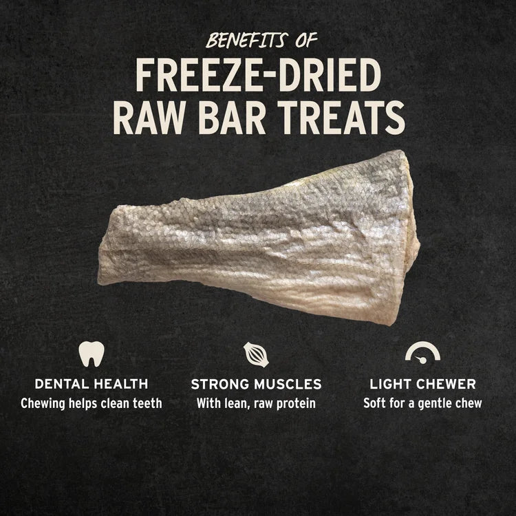 Vital Essentials Raw Bar Silver Carp Filet