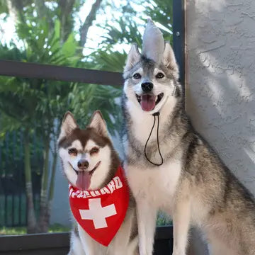 Midlee Shark vs. Lifeguard Halloween Dog Costume