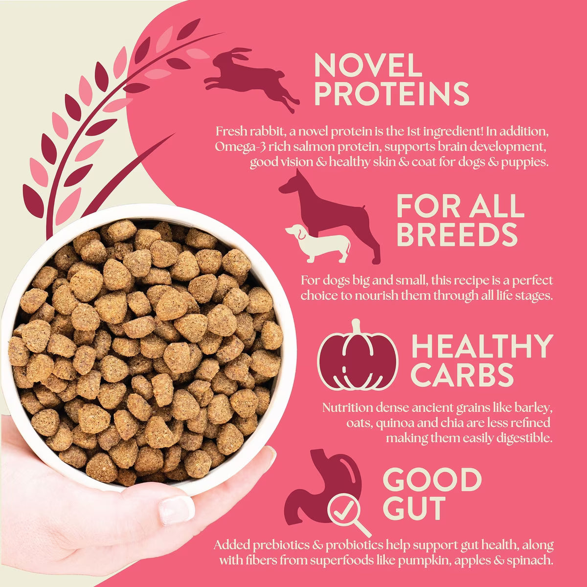Earthborn Holistic Dog Unrefined Ancient Grains & Superfoods- Rabbit