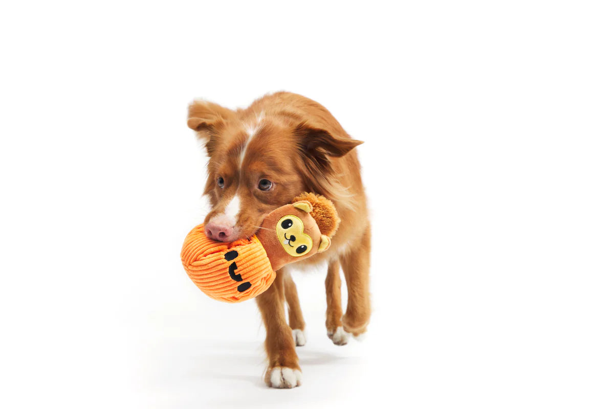 BARK Squirrel O'Lantern Plush Toy