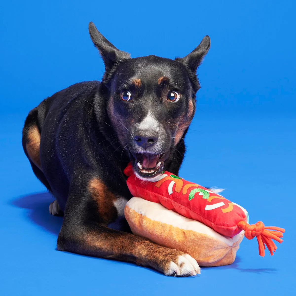 BARK The Everything Hot Dog