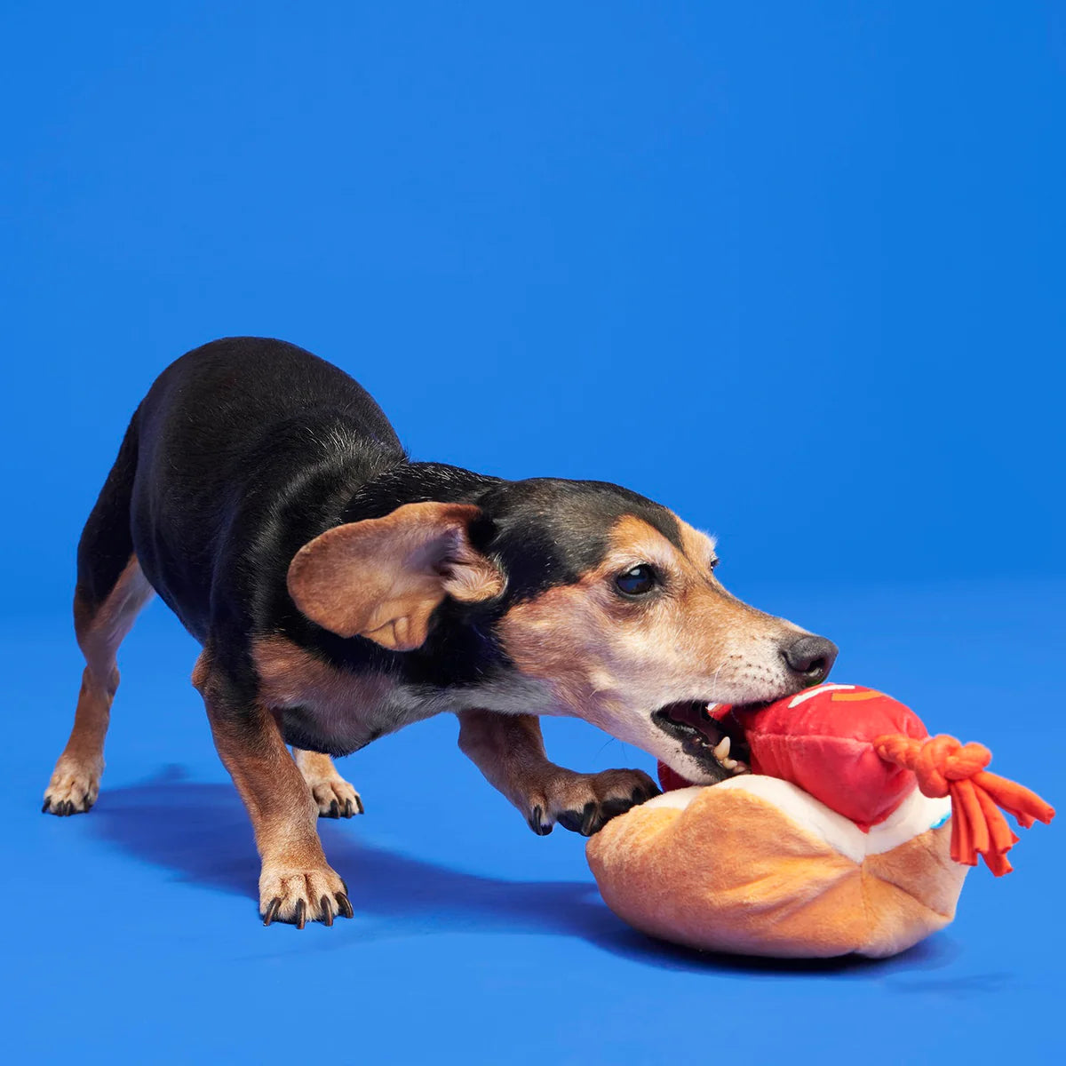 BARK The Everything Hot Dog