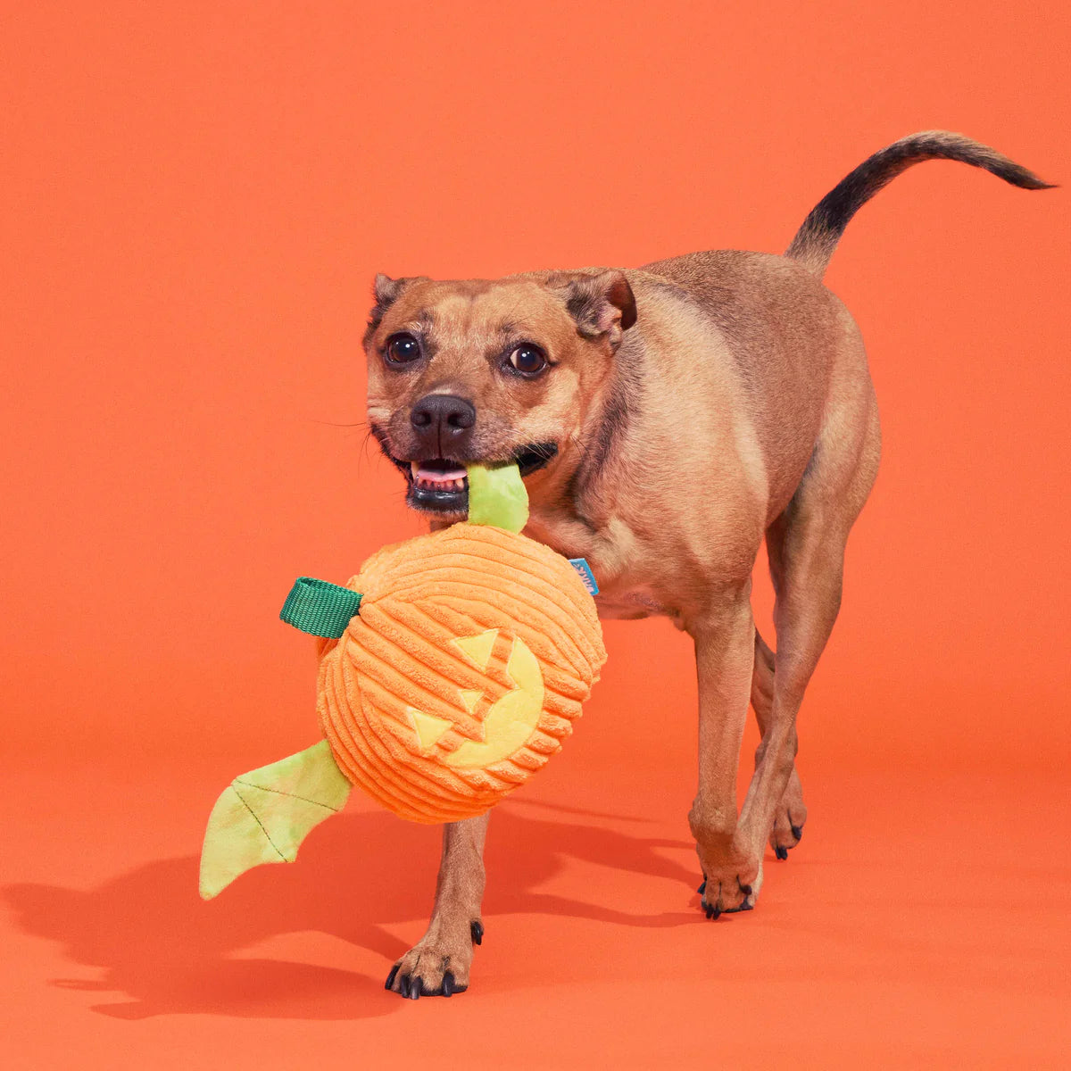BARK Halloween Flapperlantern Plush Toy