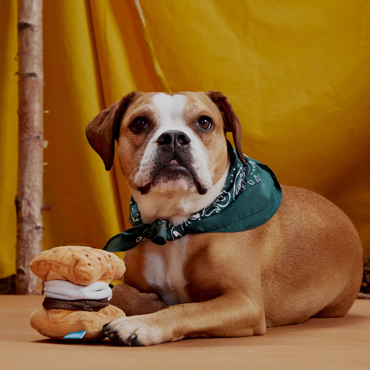 BARK More S'mores Plush Toy