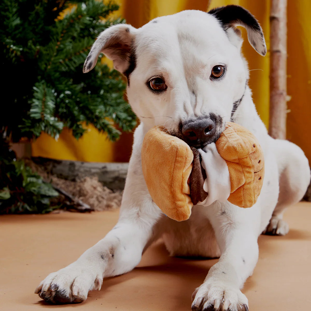 BARK More S'mores Plush Toy