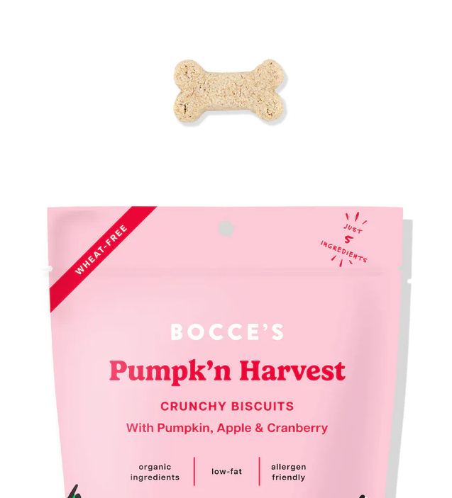 Bocce's Bakery Pumpk'n Harvest Biscuits 12oz