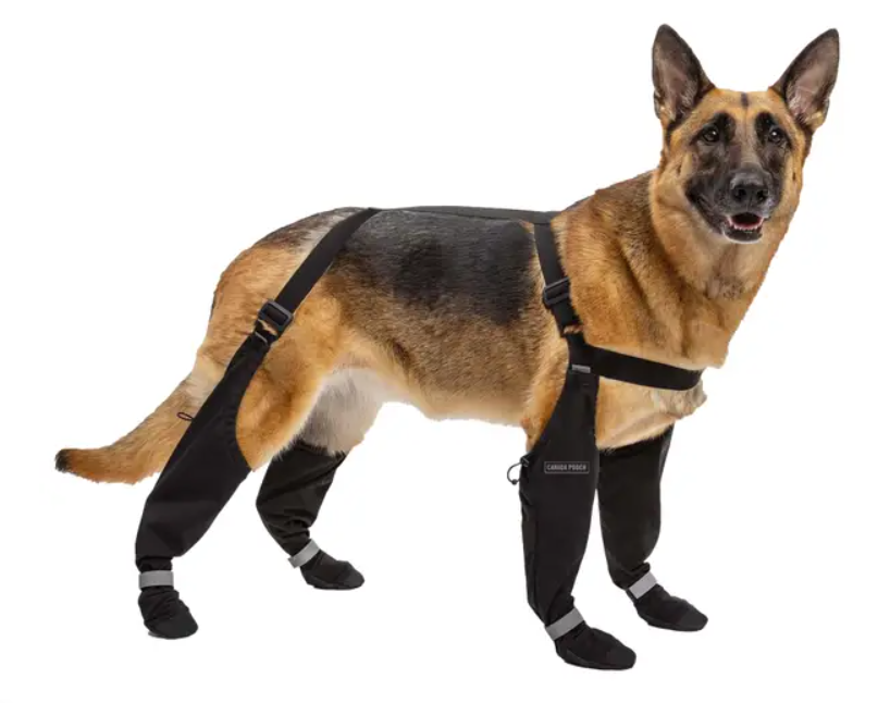 Canada Pooch Suspender Dog Boots