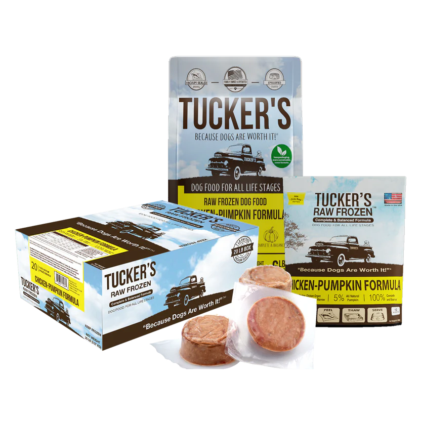 Tucker's Chicken-Pumpkin