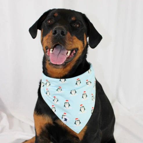 Dog Bandana Co - Reindeer & Penguin