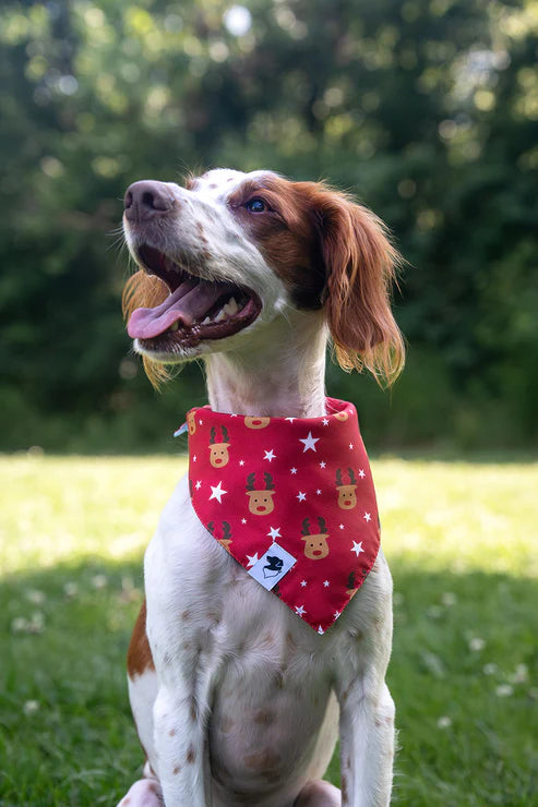 Dog Bandana Co - Reindeer & Penguin