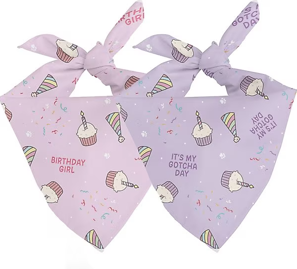 Dog Bandana Co - Birthday Girl & Gotcha Day - Small